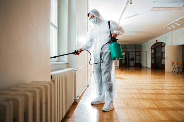 Best Mosquito Control Services  in Doraville, GA