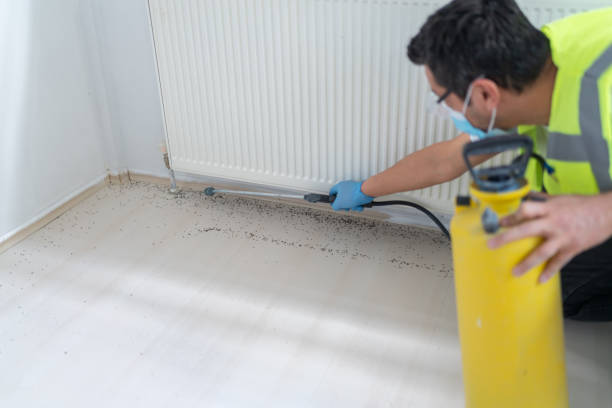 Best Pest Removal Services  in Doraville, GA