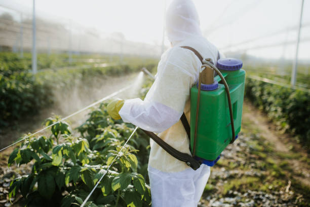 Best Wildlife Control Services  in Doraville, GA